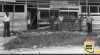 Foto Tiga orang Tentara dan masyarakat sipil di depan Kantor Jawatan Penerangan Kabupaten Donggala yang rusak akibat bom oleh Permesta. 30 Mei 1958.  Sumber : ANRI. Kempen 580530 SS 6.