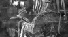 Foto Industri Pengolahan Kulit Ular di Samarinda pada 5 Mei 1949.