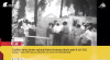 Cuplikan layar berita kontes Anjing yang diselenggarakan pada 8 Juli 1951 di Kebun Binatang Jakarta.